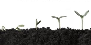 The Benefit of a Strong Value Proposition: More to the Bottom Line