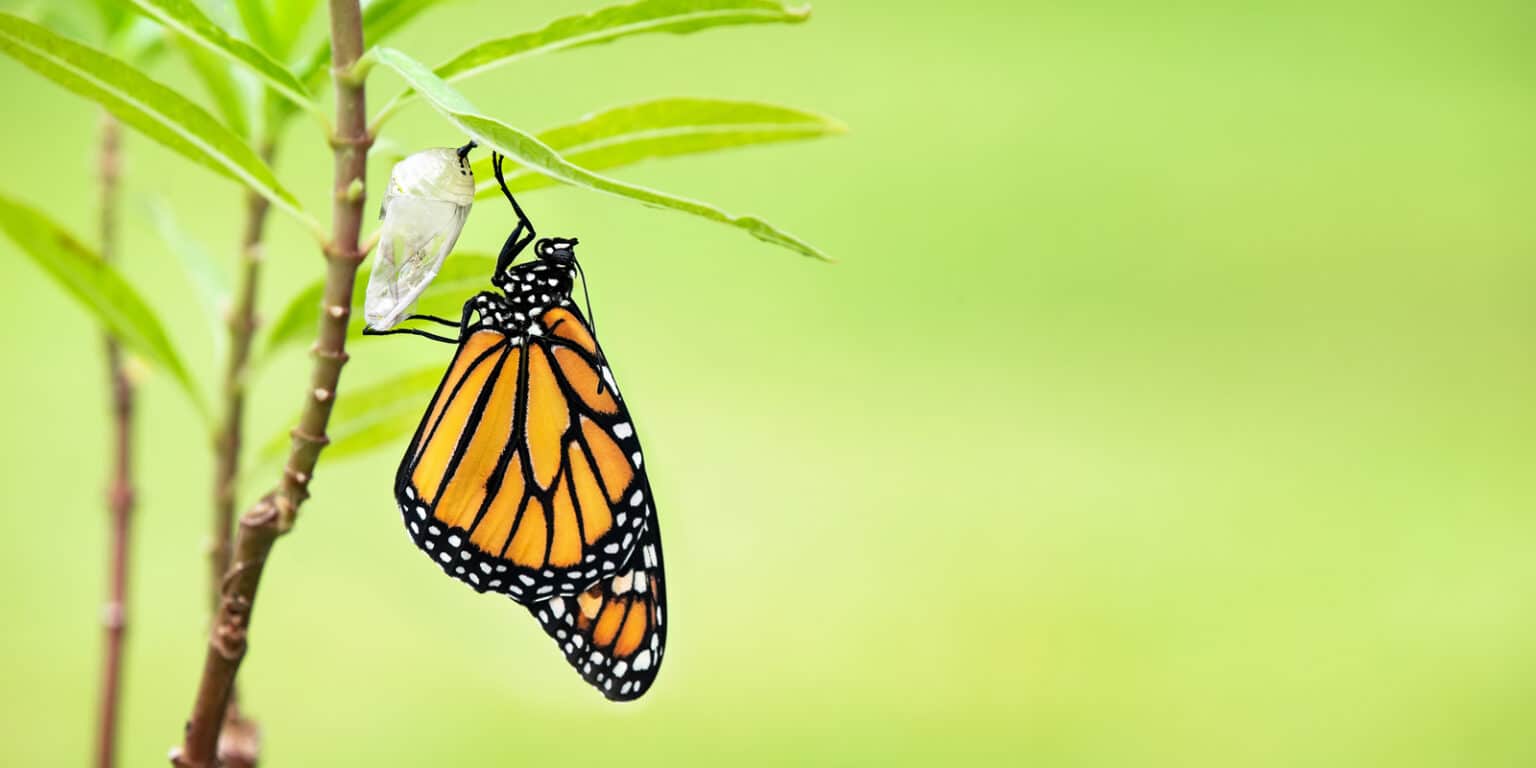 Distribution Sales Strategy Archives Distribution Strategy Group