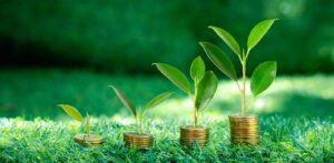 Structured Market Growth for Distributors: Improving Profits with Alignment of Sales and Acquisitive Growth