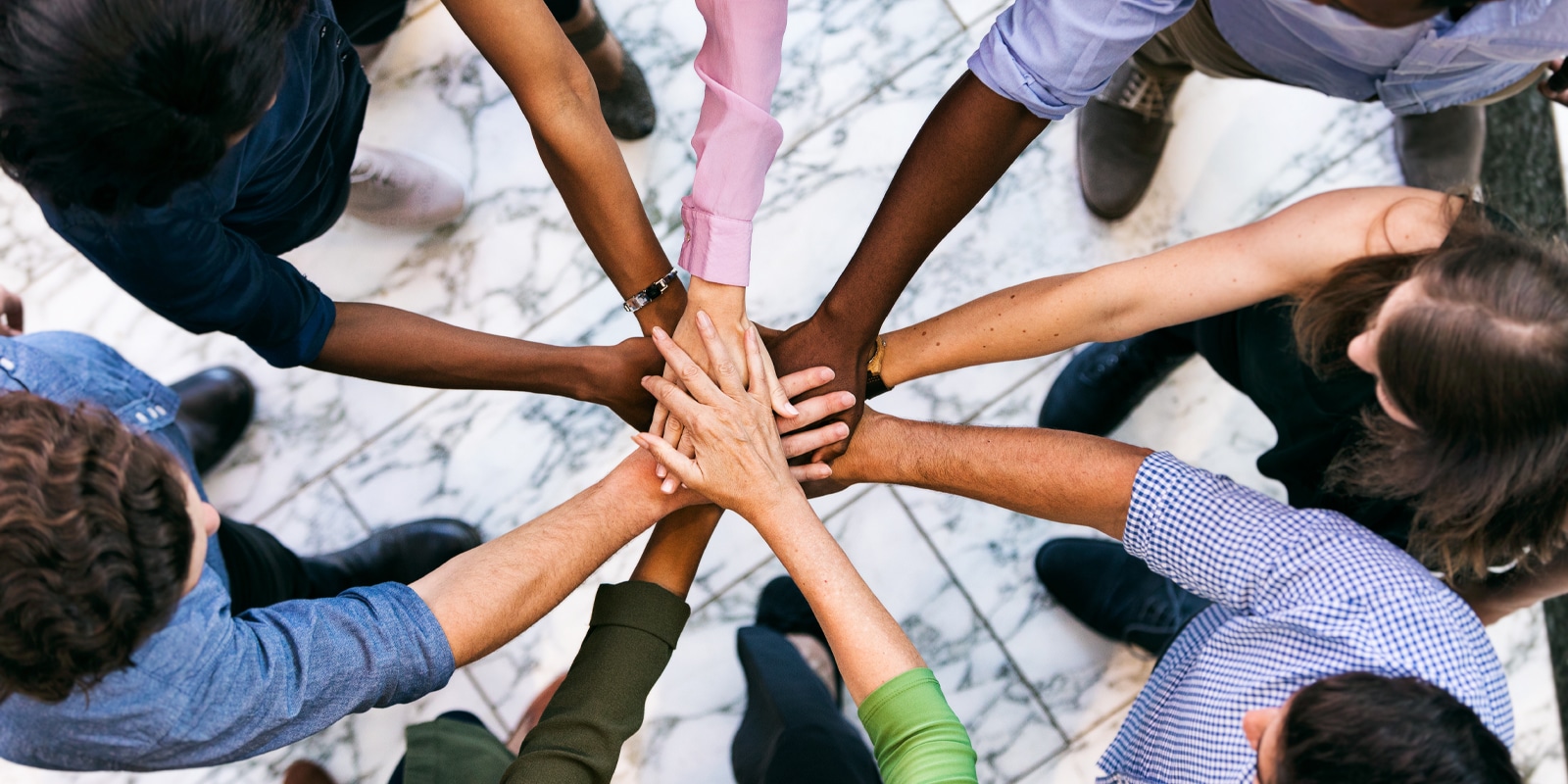 Should Distributors Have a Customer Success Team?