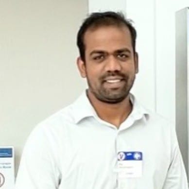 Picture of Raj Mahalingam