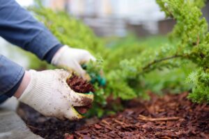 SiteOne Expands Michigan Footprint with Autumn Ridge Acquisition
